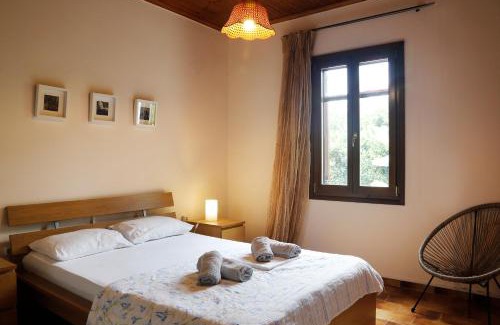 Horto House | Lemon Tree House