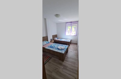 Ljuta Apartment | LEON
