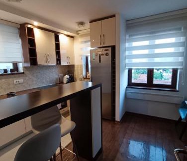 Gornji Milanovac Apartment | Leon