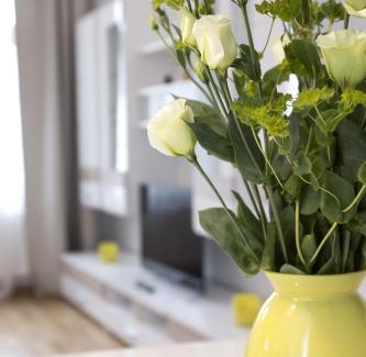 Zentrum-Nord Apartment | Leon Suite Apartments