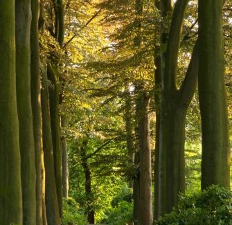 Oudenaarde Hotel | Leopold Hotel Oudenaarde