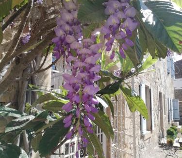 Conilhac-Corbieres Bed & Breakfast | Les 3 Platanes