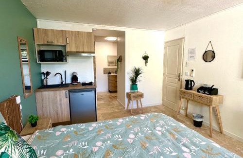 Saint-Laurent-d'Aigouze Apartment | Les Appartements du Mas - Studio Amazonite