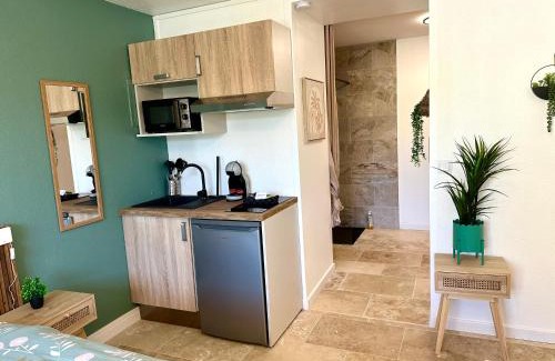 Saint-Laurent-d'Aigouze Apartment | Les Appartements du Mas - Studio Amazonite