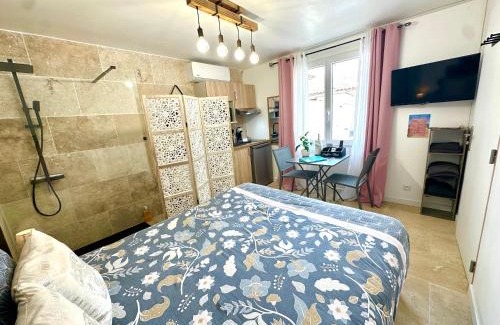 Saint-Laurent-d'Aigouze Apartment | Les Appartements du Mas - Studio Améthyste