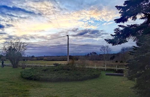 Pruniers-en-Sologne House | Les Atypiques de Sologne - SPA - Zoo de Beauval
