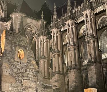 Reims City Centre Apartment | Les Berceaux de la Cathedrale