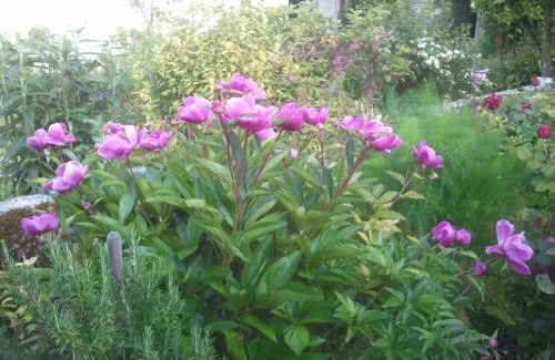 Woignarue Bed & Breakfast | Les Blancarts