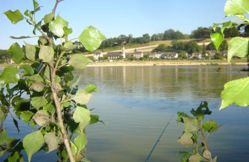 Veuves Apartment | Les Bords de Loire