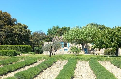 Valreas Other | Les Chênes Verts - Vaucluse - Mas provençal 10p swimming pool in the countryside