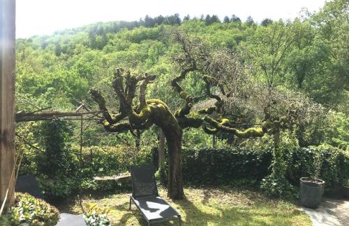 Saint-Vincent-Rive-d'Olt Bed & Breakfast | Les Chambres du Prieuré