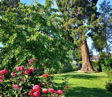 Chessy Bed & Breakfast | Les Chambres D'oriane