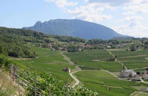 Jongieux Bed & Breakfast | Les chambres du cru