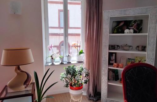 Rodez Bed & Breakfast | Les Chambres Hautes d'Anastasia