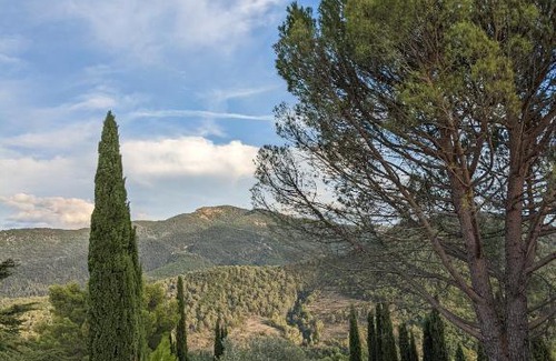 Aubres Bed & Breakfast | Les Colombes