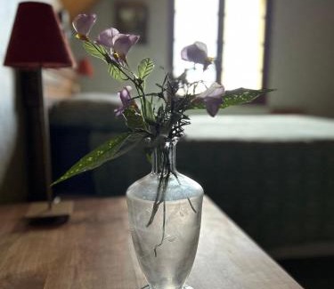 Saint-Estephe Bed & Breakfast | 'Les Comètes' B&B