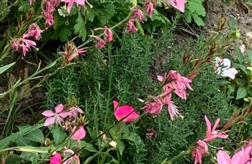 Gasny Apartment | Les Coquelicots de Giverny