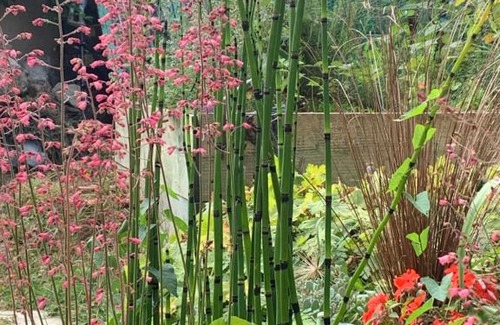 Gasny Apartment | Les Coquelicots de Giverny