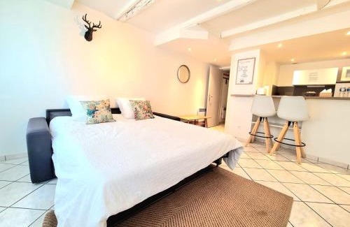 Saint-Pierre - Rene II - Bonsecours Apartment | Les Cosy De Nancy - La cache du cerf - 4étoiles