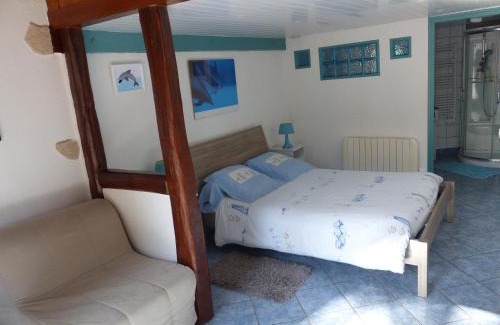 Mareuil-sur-Cher House | Les dauphins de Mareuil