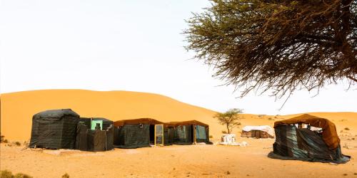 Fask Other | Les dunes dorées Elborj