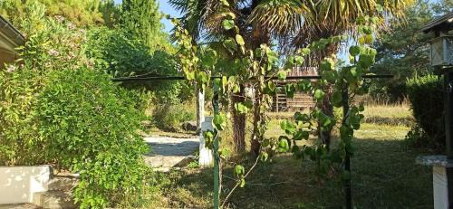 Yvoire House | Les Falaises