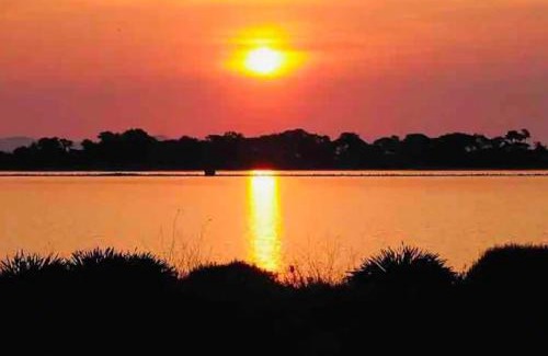 La Capte Apartment | Les flamants Roses la Capte Clim 4pers 100m plage