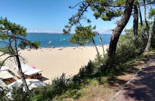 Arcachon Apartment | Les floralies