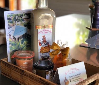 Saint-Pierre Villa | Les Frangipaniers de la Pelée