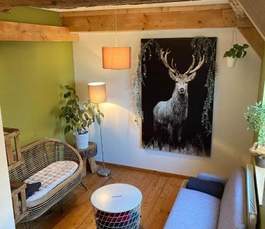 Blienschwiller Apartment | Les Gîtes du Racème
