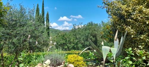 Generargues Bed & Breakfast | Les Hauts de Cabanoule Générargues