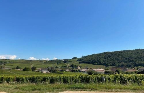 Fuisse Apartment | Les Hirondelles De Fuiss