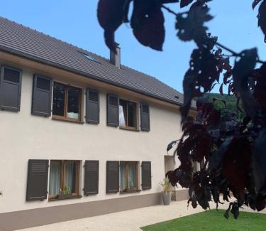 Wintzenheim Apartment | Les Hirondelles