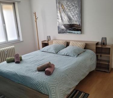 Quartier Saint-Leon Apartment | Les Jacynthes