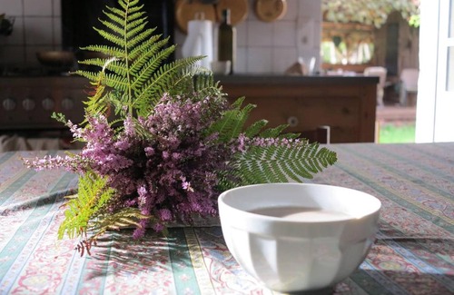 Losse Bed & Breakfast | Les jardins d'Atyoula