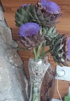 Le Thoronet House | Les Jardins de Castelange