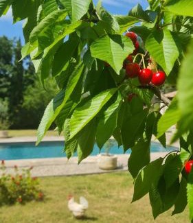 Meounes-les-Montrieux Bed & Breakfast | Les lauriers fleuris