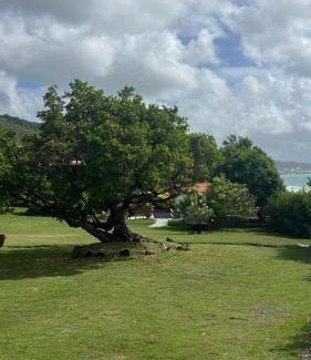 Le Diamant Villa | Les Lauriers du Rocher 1