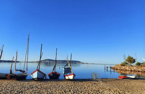 Bouzigues Bed & Breakfast | Les Lofts de Bouzigues - Jacuzzi privé - Plage 350m