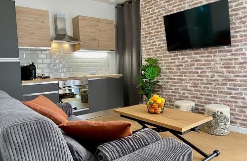 Romorantin-Lanthenay Apartment | Les Logis d'Esmeralda-Appartements Centre Romorantin