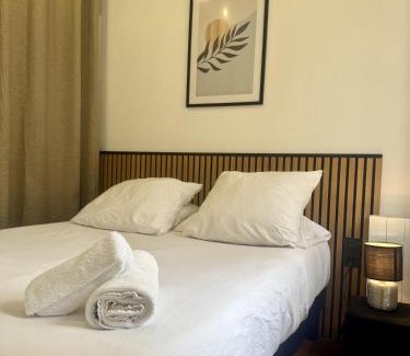 Romorantin-Lanthenay Apartment | Les Logis d'Esmeralda-Appartements Centre Romorantin