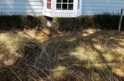 Belle Dune House | Les Maisons de Belle Dune - maeva Home - 3-Room House for 4 People - Selection