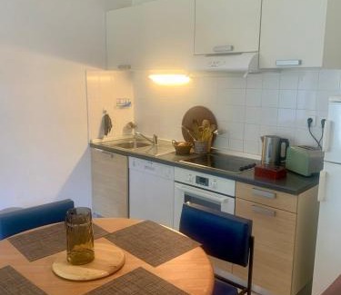 Le Chambon-sur-Lignon Apartment | "Les Oiseaux" avec terrasse, parking, duplex