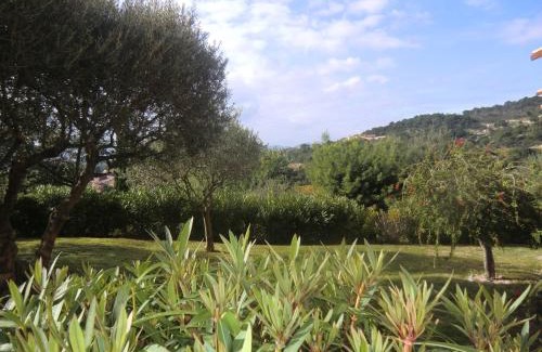 Les Restanques Apartment | Les Oliviers