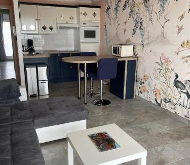 Bray-Dunes Apartment | Les pieds dans le sable