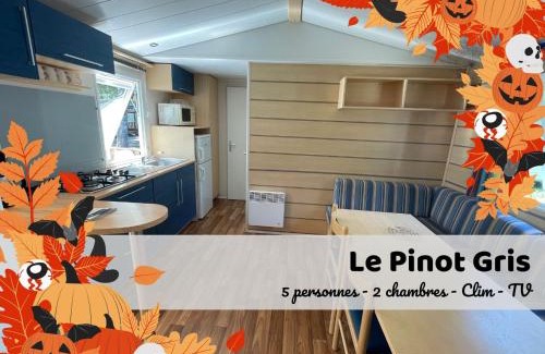 Boofzheim Bed & Breakfast | Les Pinots d'Alsace - 3 bungalows climatisés avec TV - Proche Europa Park