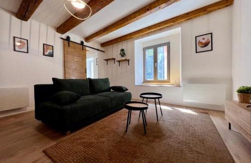 Montbeliard Apartment | Les Poutres de Cuvier