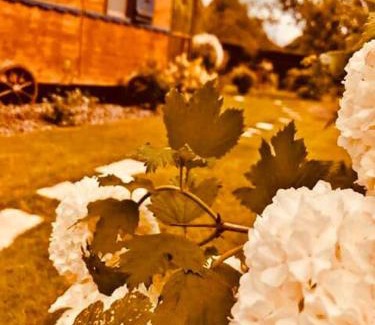 Les Herbiers Bed & Breakfast | Les Roulottes De La Basse Maunerie
