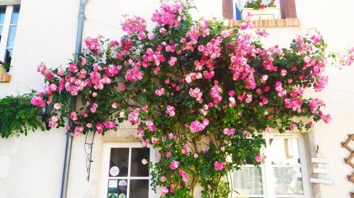 Montlivault Bed & Breakfast | Les Salamandres, chambres d'hôtes près de Chambord