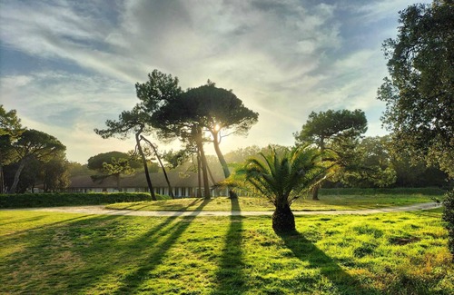 Saint-Pierre-d'Oleron Apartment | Les Salines